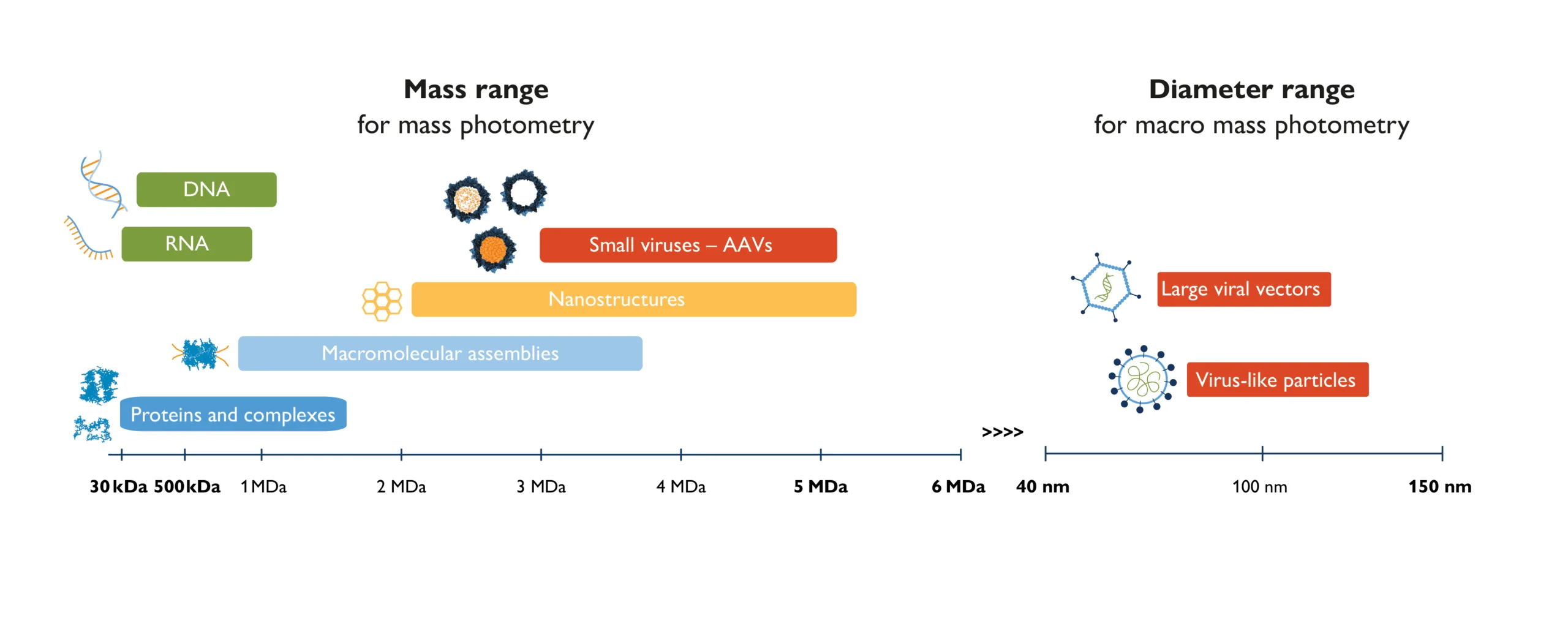 Mass-photometry-technologies-range-6MDa resized
