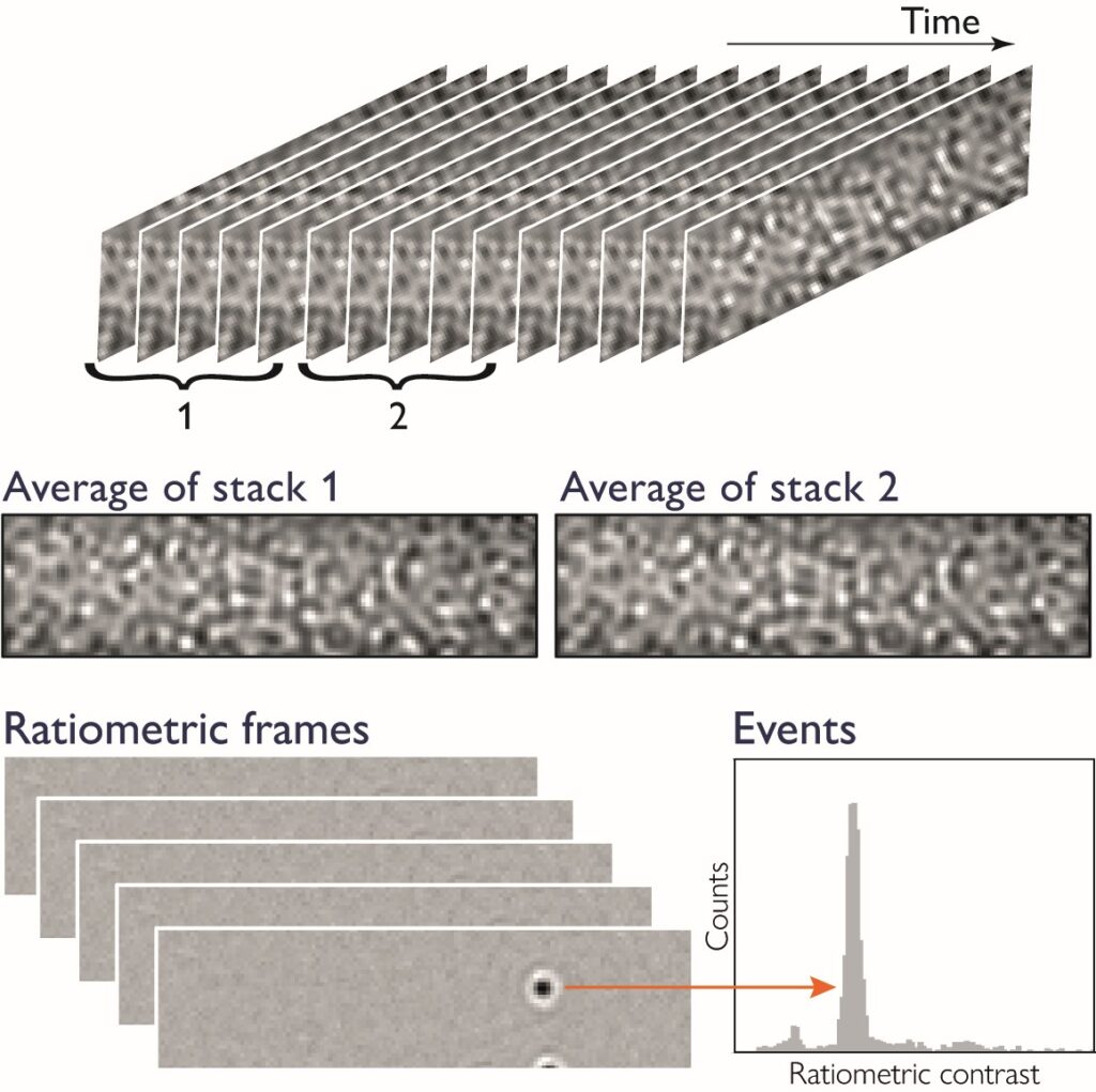 Schematic showing how individual video frames of mass photometry measurements are processed to detect particle landing events