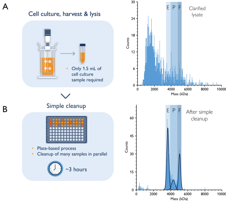 Mass photometry can be used for upstream AAV characterization.