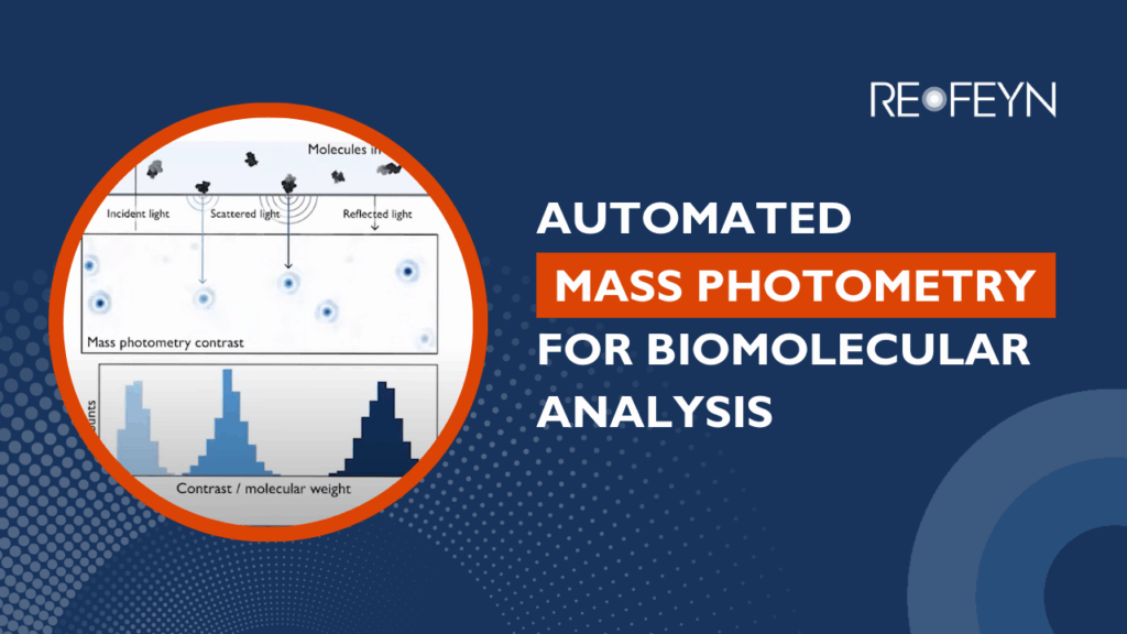 Automated Mass Photometry for Biomolecular Analysis
