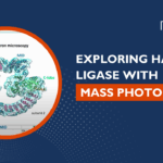 Webinar: Exploring HACE1 Ligase