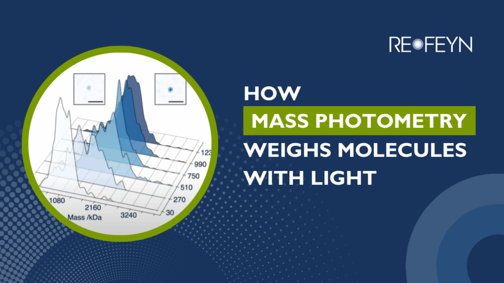 How Mass Photometry Weighs Molecules with Light