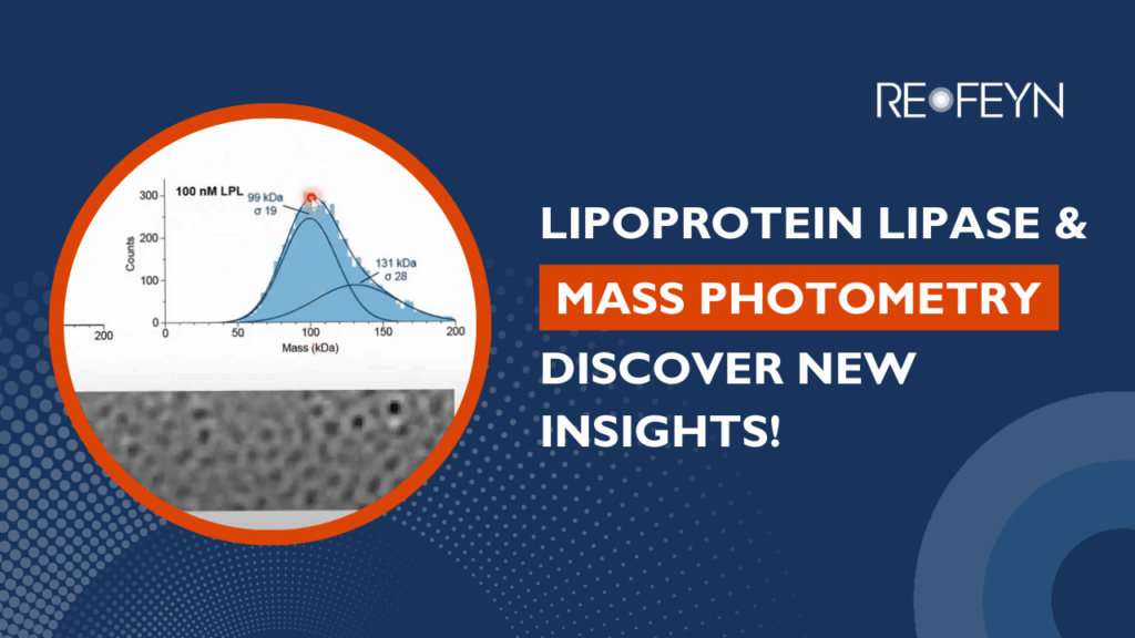 Lipoprotein Lipase & Mass Photometry
