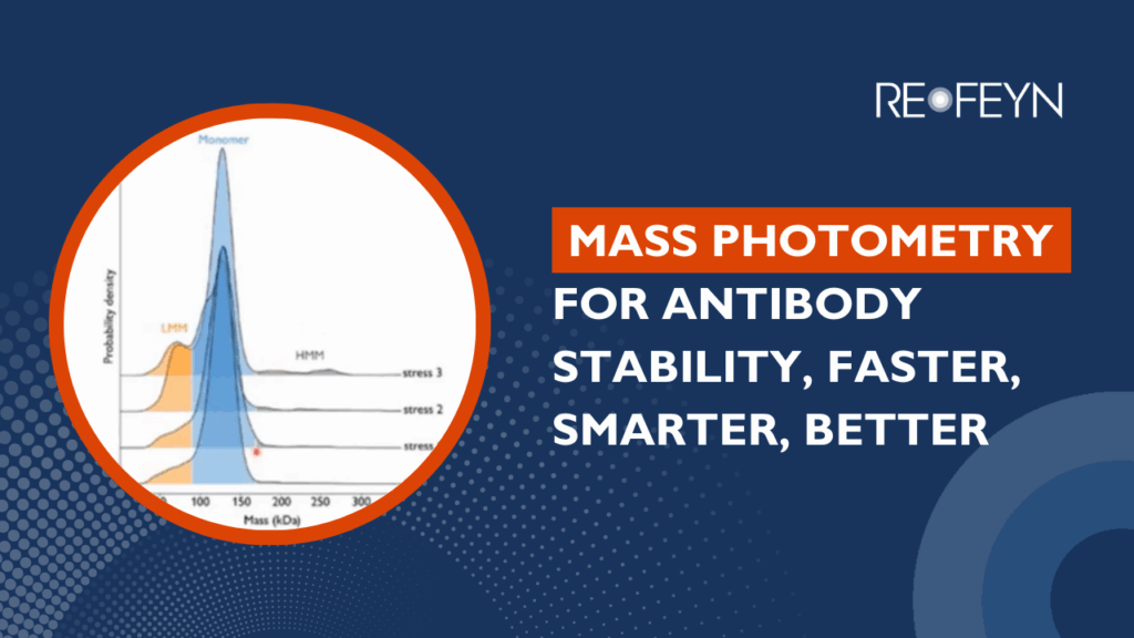 Mass Photometry for Antibody Stability Faster Smarter Better