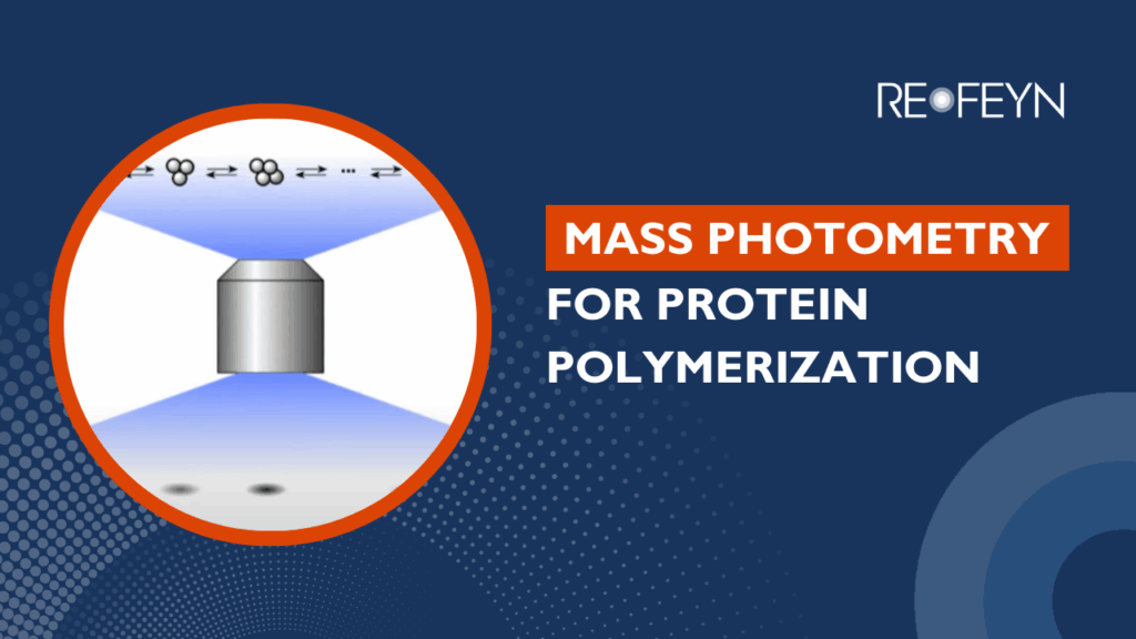 Mass Photometry for Protein Polymerization