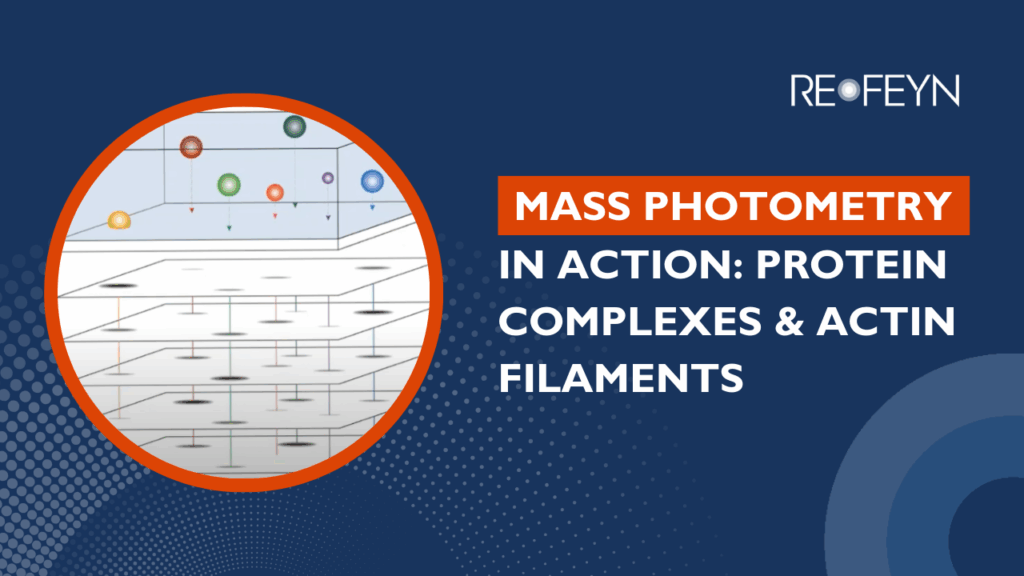 Mass Photometry in Action Protein Complexes & Actin Filaments