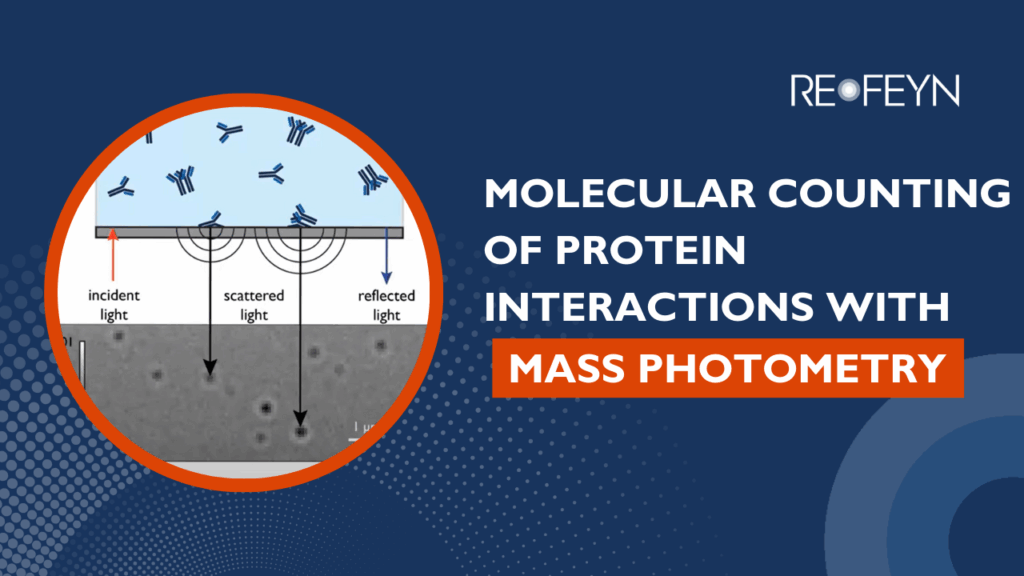 Molecular Counting of Protein Interactions with Mass Photometry