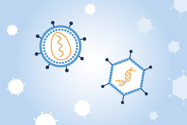 Lentivirus Adenovirus Karitro