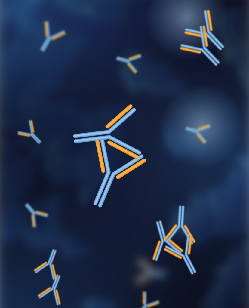 Antibody aggregation