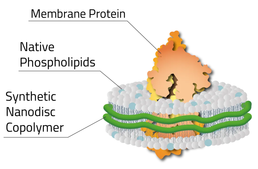 Copolymer Nanodisc