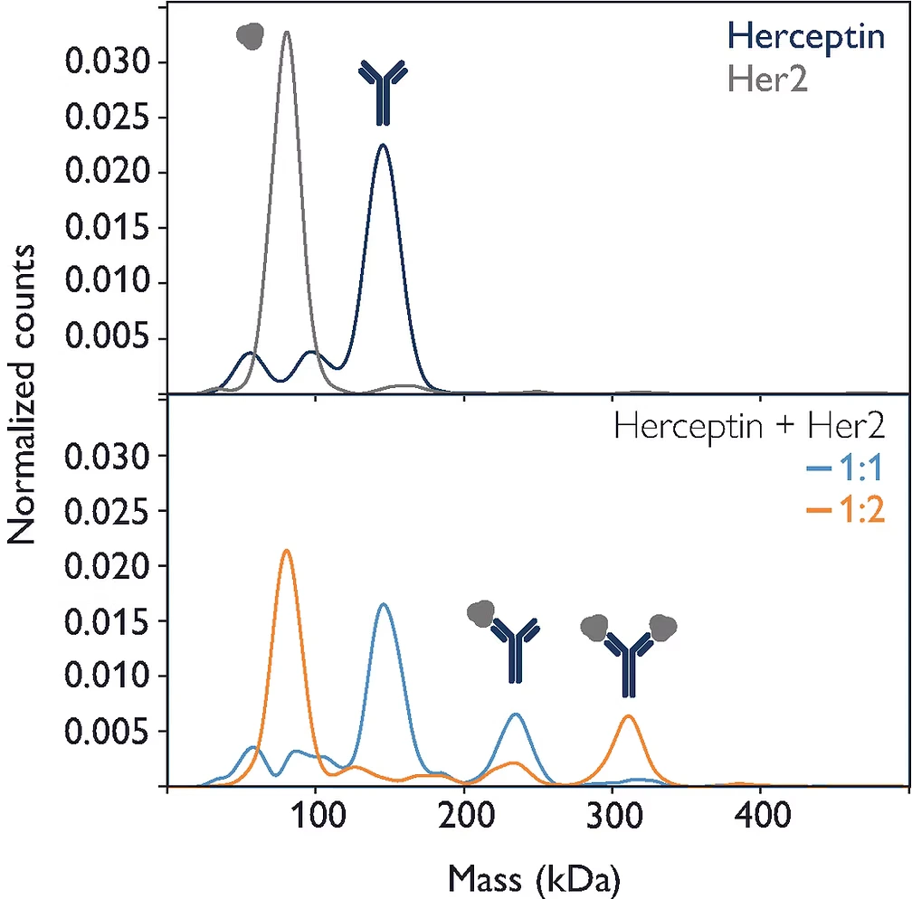 ​Unlock rapid antibody analytics