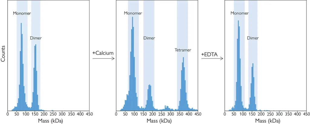 Characterizing protein oligomerizationwith mass photometry