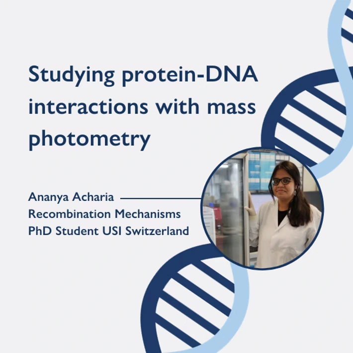 Mass photometry on nucleic acids