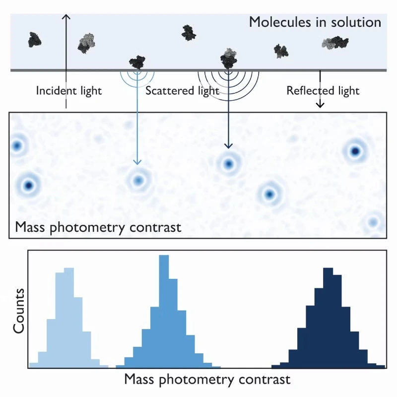 A revolutionary analytical method for biomolecules