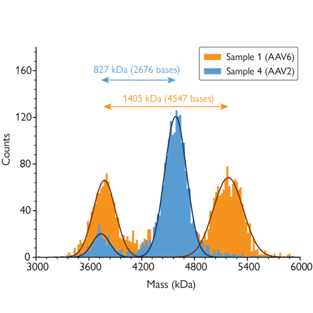 Mass histogram of two AAV samples of different serotypes with different genome lengths.