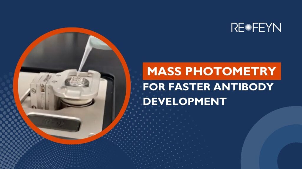 Mass Photometry for Antibody Development: De-risk Early Decisions