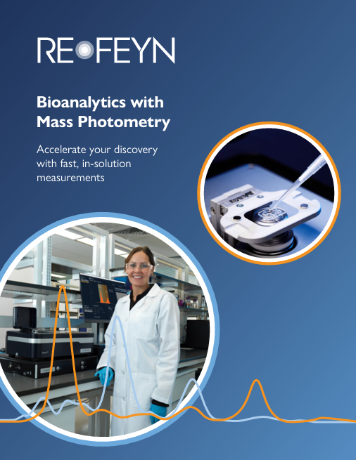MP brochure