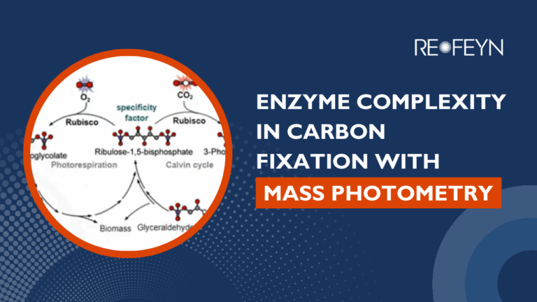 Enzyme Complexity in Carbon