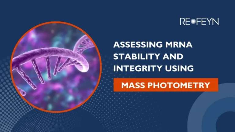 Assessing mRNA stability and integrity using mass photometry
