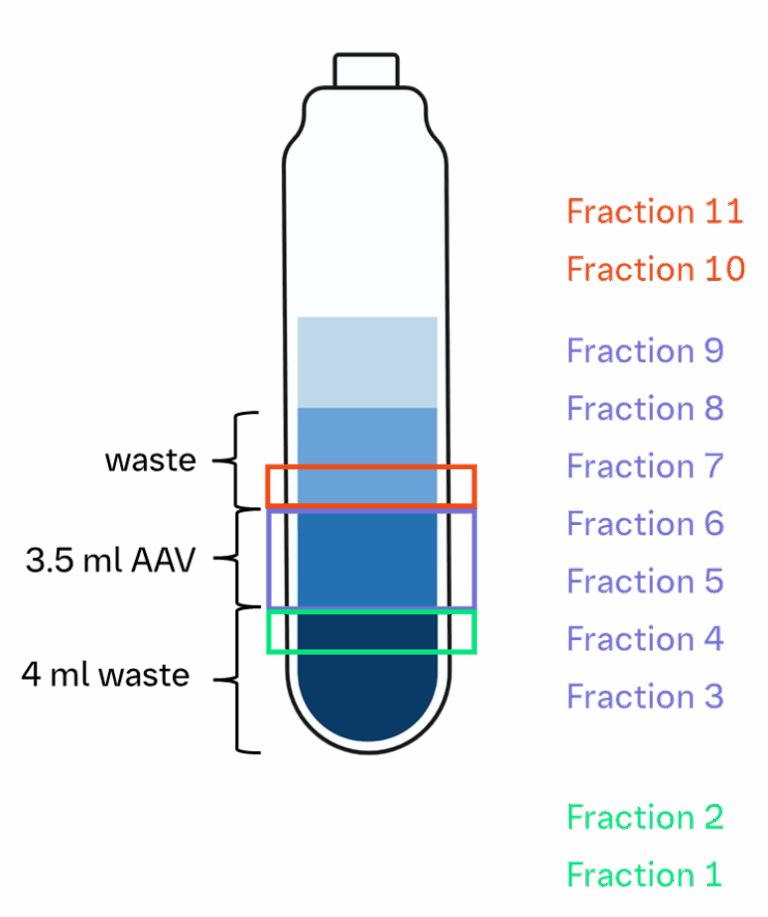 Visual representation of experimental sampling of iodixanol fractions