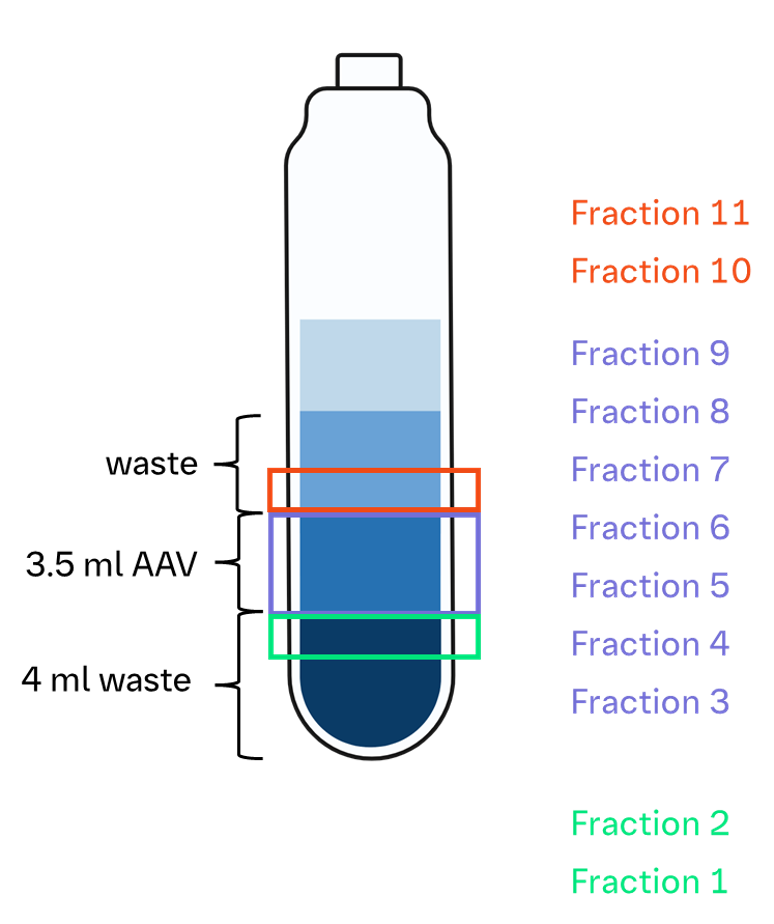 Visual representation of experimental sampling of iodixanol fractions