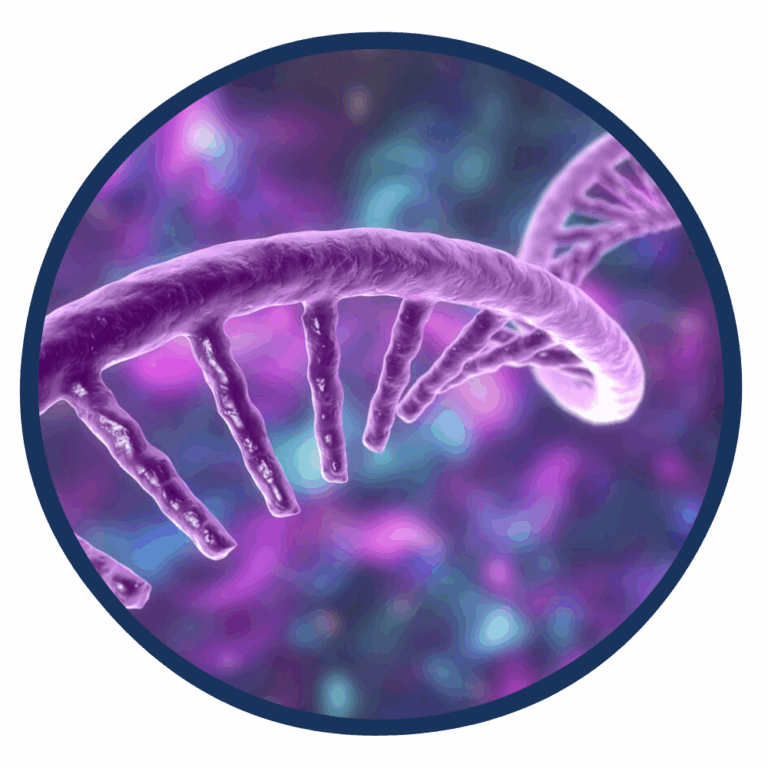 RNA banner web