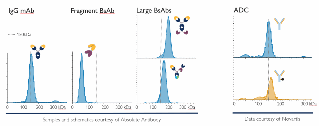 Antibody aggregation binding