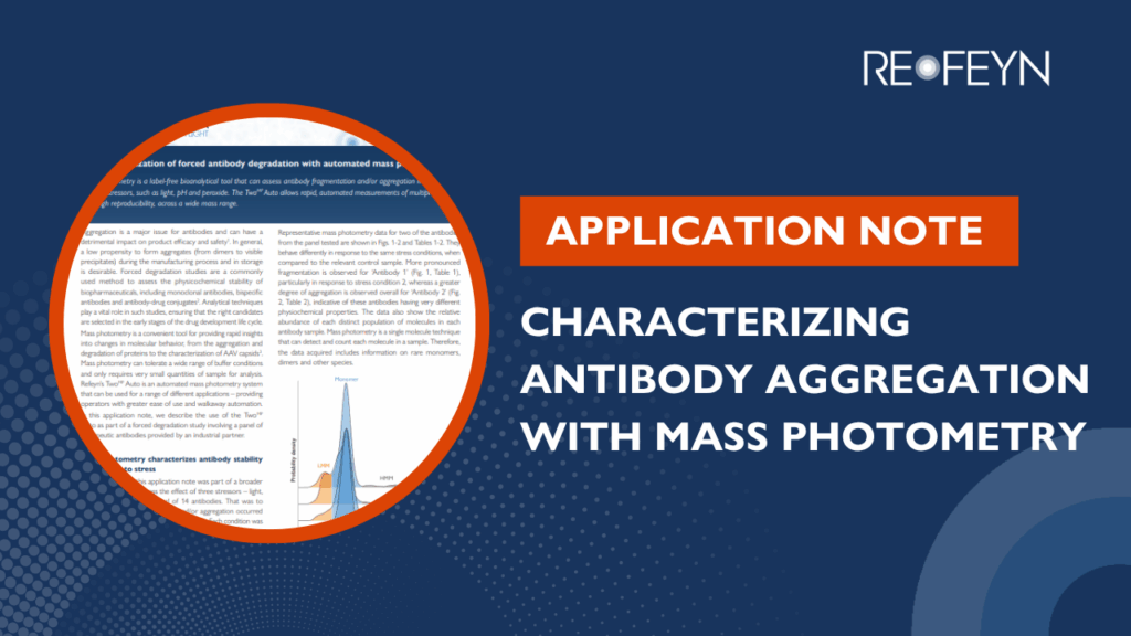 Characterizing antibody aggregation with mass photometry