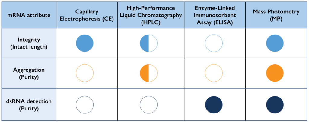 mRNA-MP-Comparison-V3