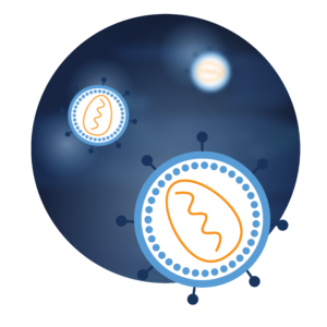 Lentiviruses web banner