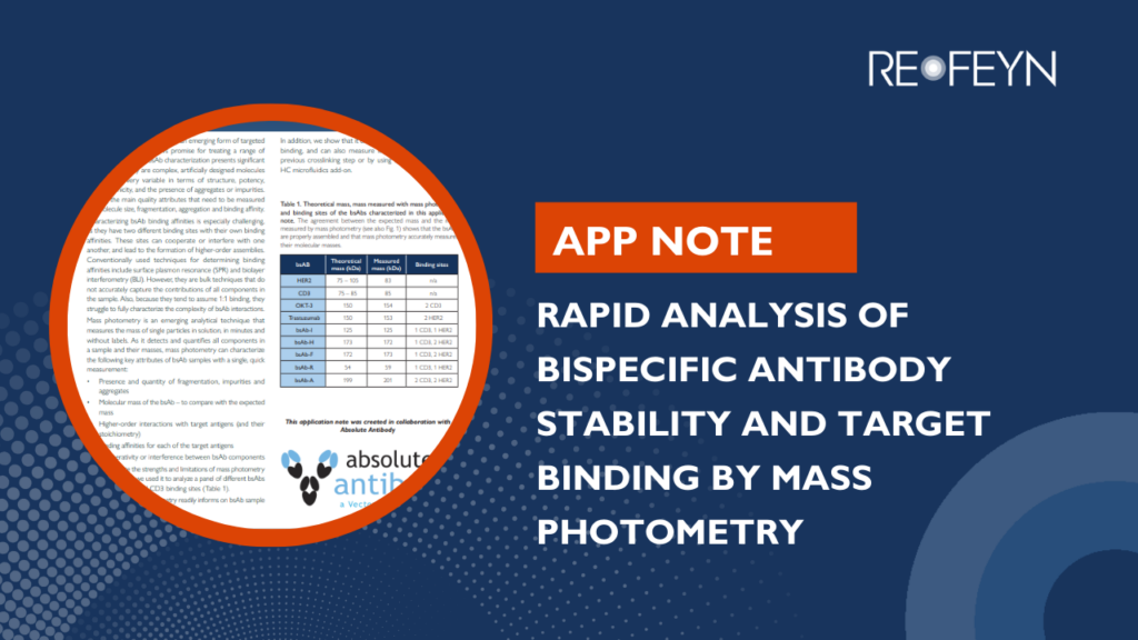Rapid analysis of bispecific antibody stability and target binding by mass photometry