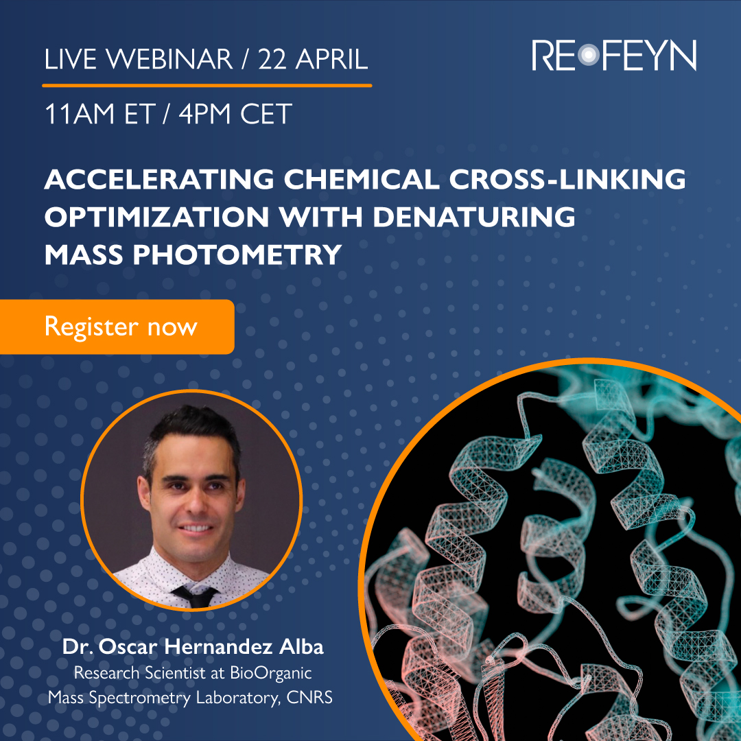 Accelerating Chemical Cross-Linking Optimization with Denaturing Mass Photometry
