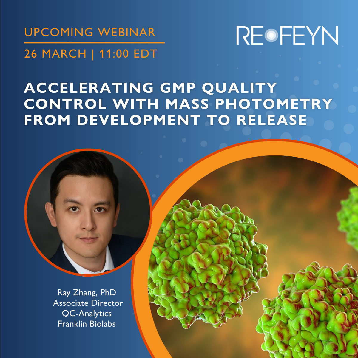 Accelerating GMP Quality Control with Mass Photometry from Development to Release