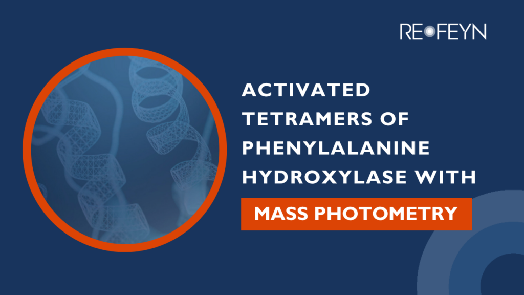 Activated Tetramers of Phenylalanine Hydroxylase