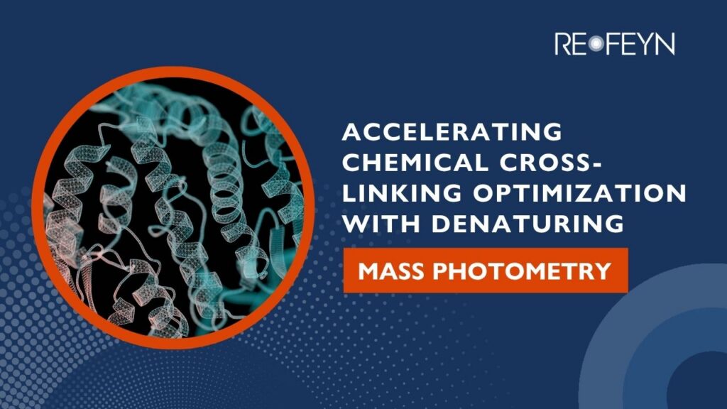 Accelerating Chemical Cross-Linking Optimization with Denaturing mp