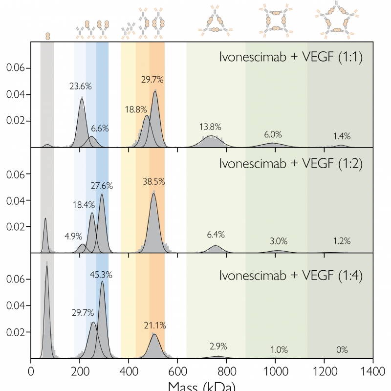 Probing different antibody antigen molar ratios at nM concentrations? Ivonescimab:VEGF complex formation for mixtures with 1:1, 1:2 and 1:4 antibody: antigen concentration ratios, at equilibrium, after 40 min incubation, at nM concentration.
